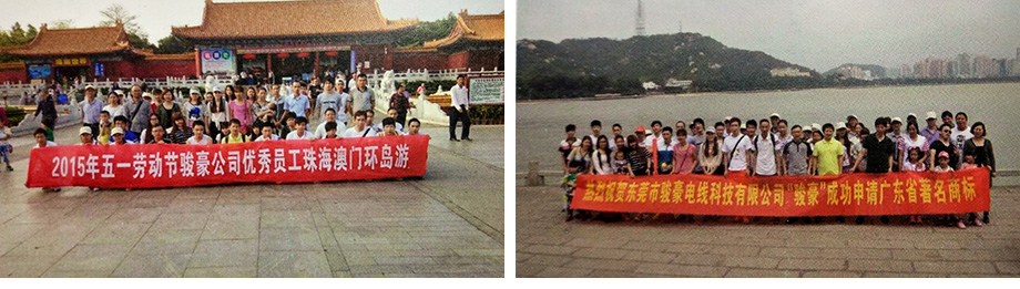 駿豪團隊