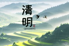 關(guān)于我司2025年清明節(jié)放假通知！